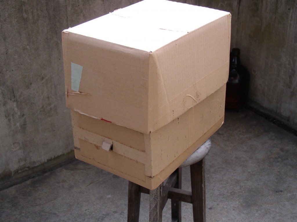 cardboard swarm collection box