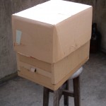 cardboard swarm collection box