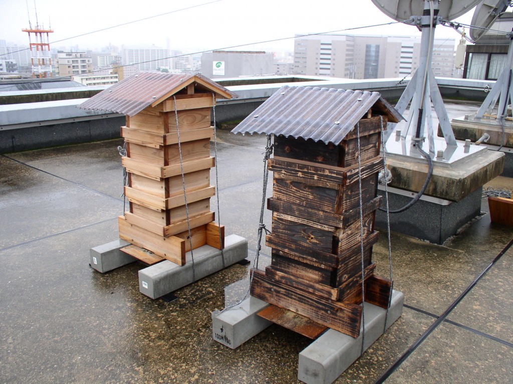 Two Japanese bee hives front view