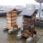 Two Japanese bee hives front view