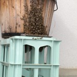 clustering underneath hive