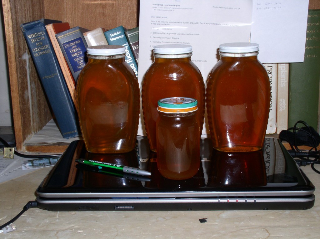 honey harvest