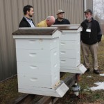 Hives with bees outside in back of the building