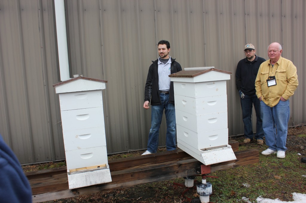 Beehives with 8-frame supers