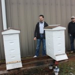Beehives with 8-frame supers