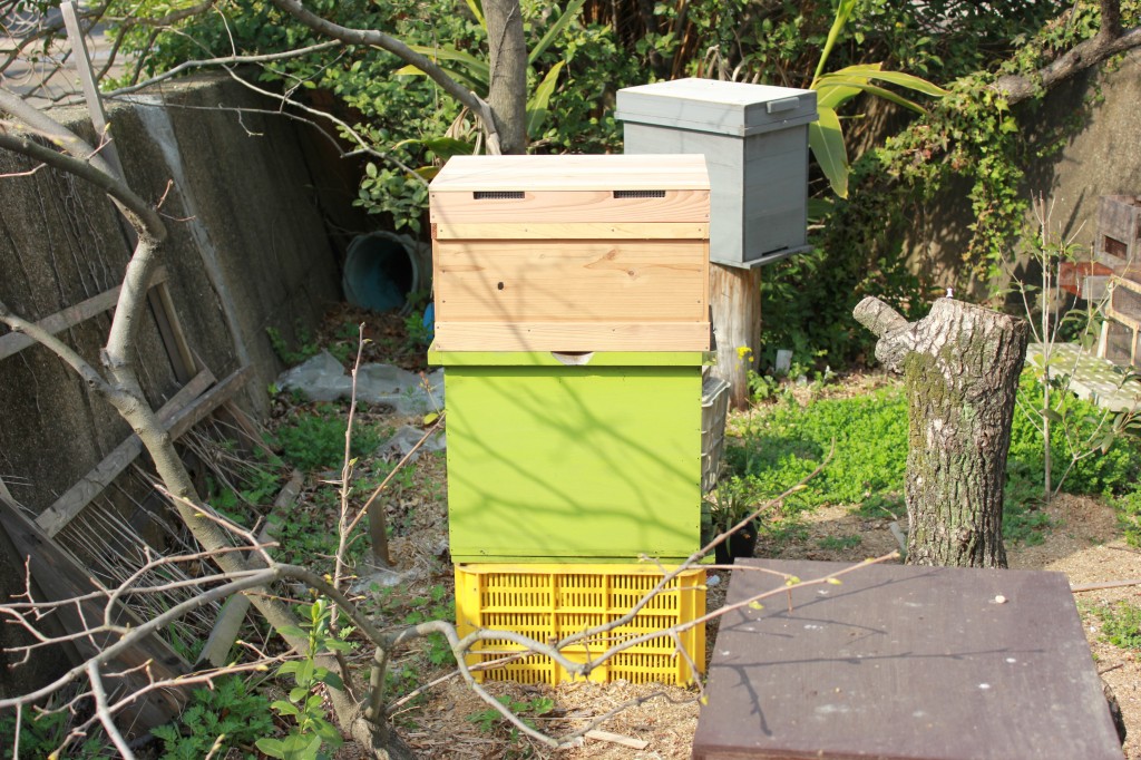 Homemade beehive with commercial super on top.