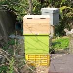 Homemade beehive with commercial super on top.