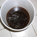 Extracted Honey in food grade plastic bucket